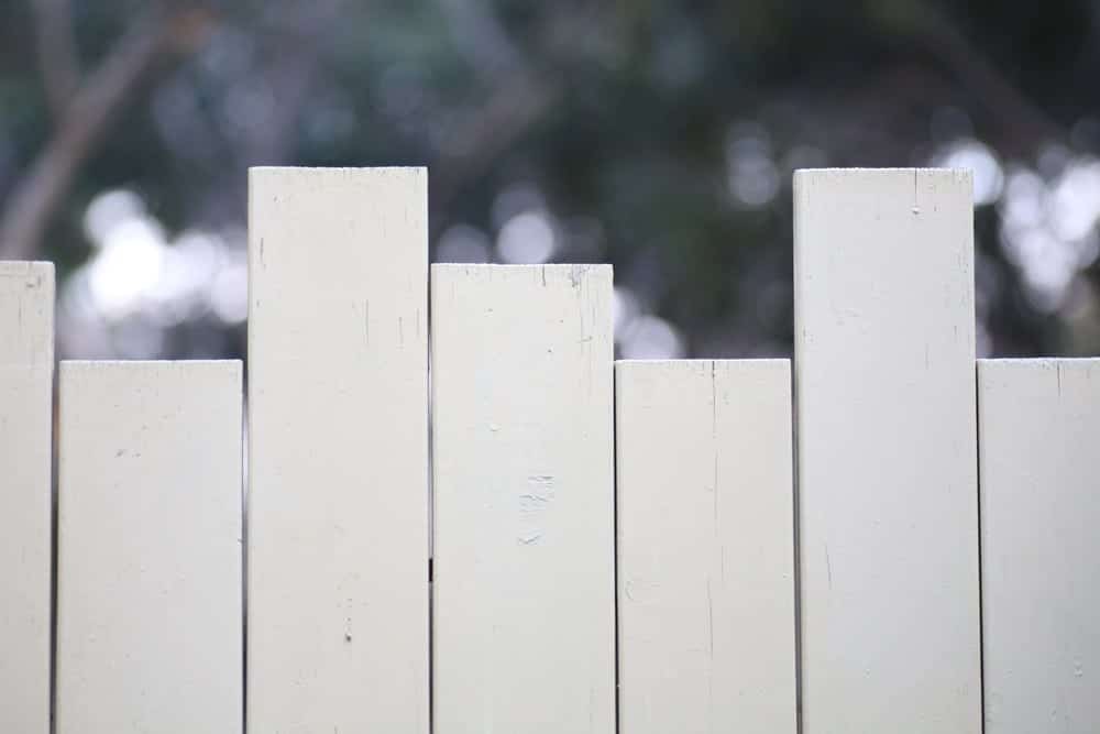 Wood Fence