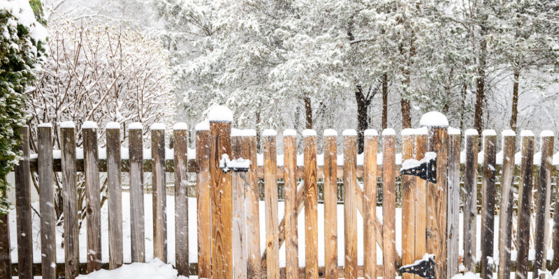 Wooden fence